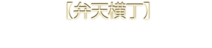 【弁天横丁】ハイボール酒場ハイカラ